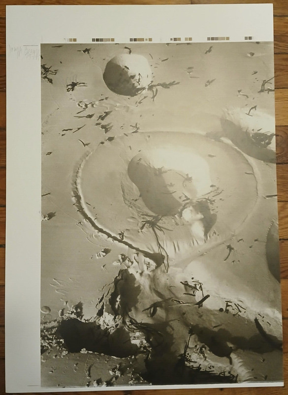 Joseph Beuys : Offset SignÃ©E Et DatÃ© Au Crayon. Sandzeichnungen 1974. Fluxus