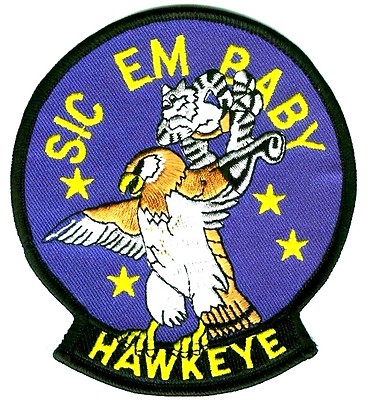 TOP GUN US NAVY VAW-116 SIC 'EM BABY HAWKEYE FLIGHT SUIT SHOULDER INSIGNIA