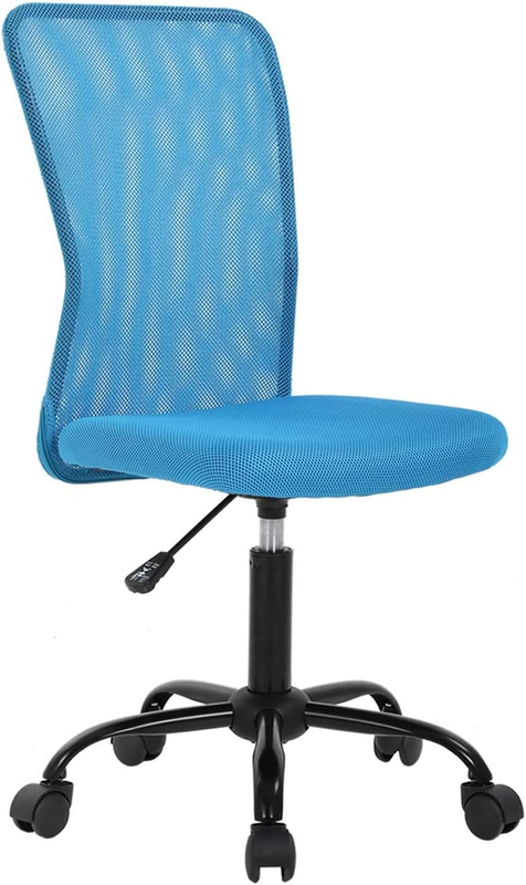 Mesh Office Chair with Ergonomic Lumbar Support Cheap Desk Chair Computer Adjust