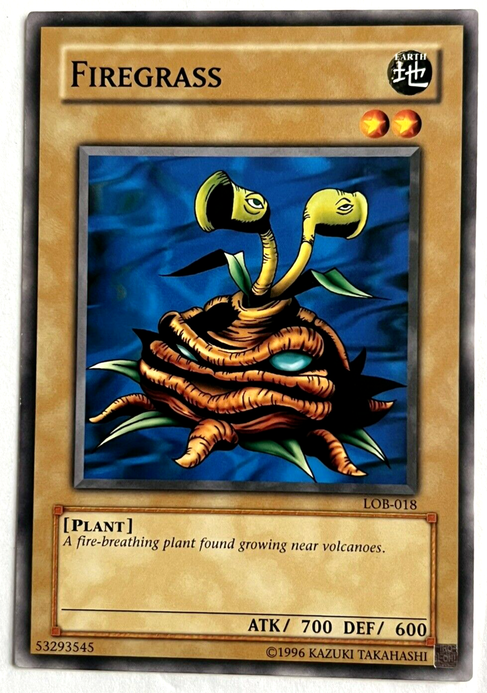 火炎草　PSA10 遊戯王　初期　Vol.1 Firegrass 火炎草 PSA10 遊戯王 初期 Vol.1 Firegrass