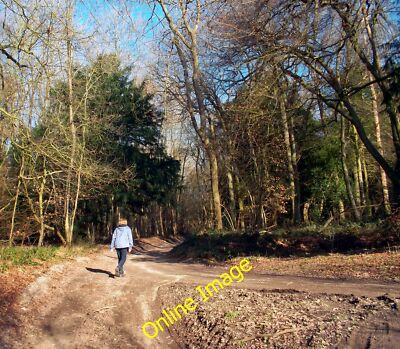 Photo 12x8 Ipsden Heath Well Place Looking much more like a wood than a he c2012