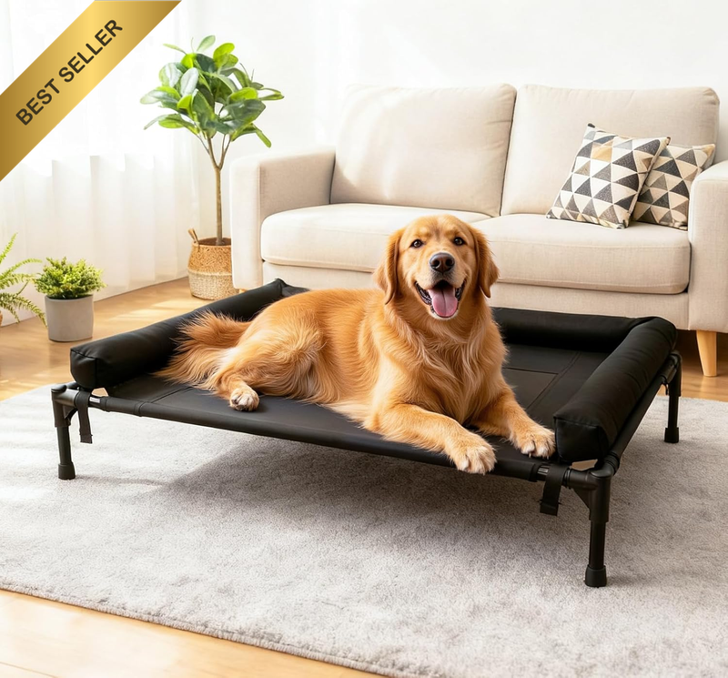 Elevated Dog Bed - Raised Dog Beds for Medium Large Dogs, Durable XL Dogs Cat Pe