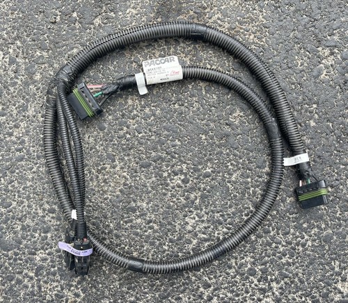 ワルーサーP PK/S Amazon | マルゼン ワルサーPPK/S ステンレス ブローバック