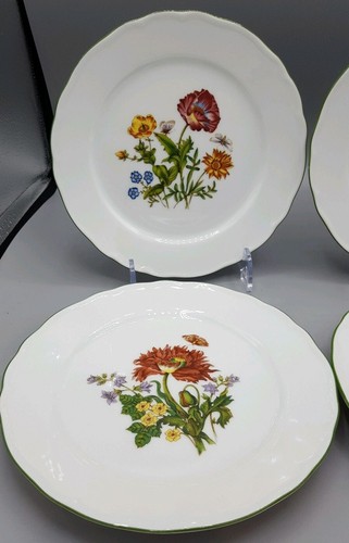 Set of 4 Tirschenreuth Bavaria SMCS Floral Porcelain Plates