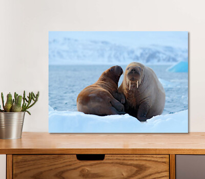 Snow, Svalbard, Norway 5mm thick Plastic Poster Ready to Hang 60x45cm