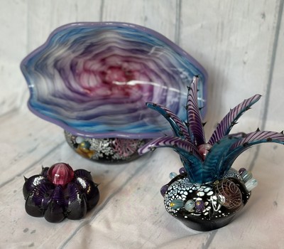 Glass Eye Studio Clam Sea Urchin Sea Anemone Paperweights