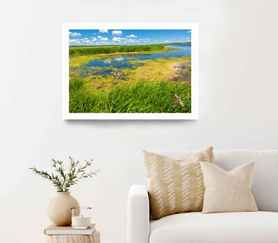 A River Overgrown & Reeds With Blue Sky Poster Premium Quality Choose your Size