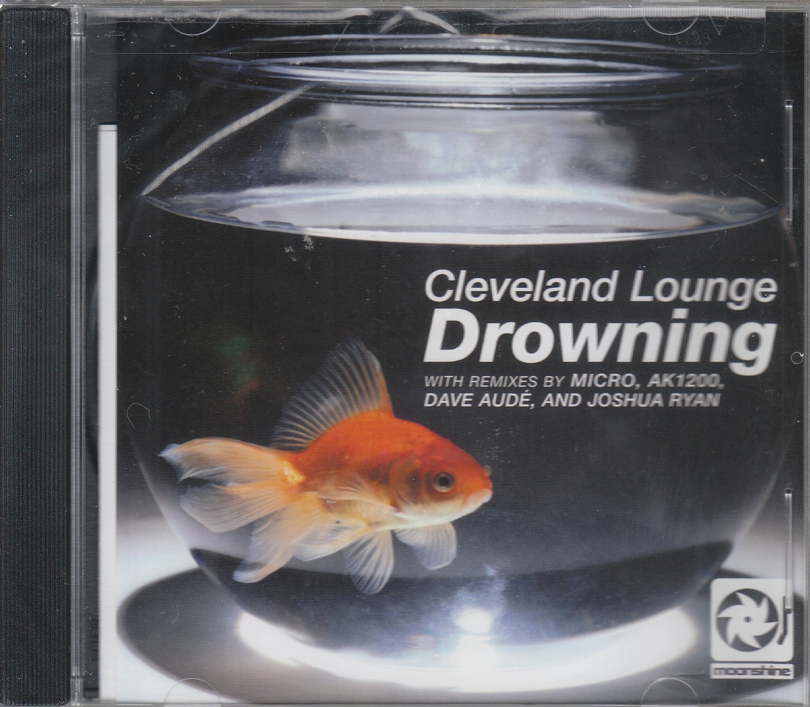 ミュージシャン DROWNING ROOM Drowning Room