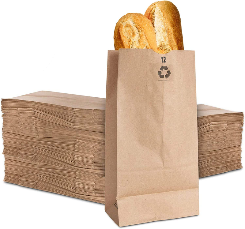 S (100 Count) - Bulk Disposable Lunch Sacks