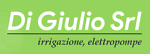 digiuliosrl