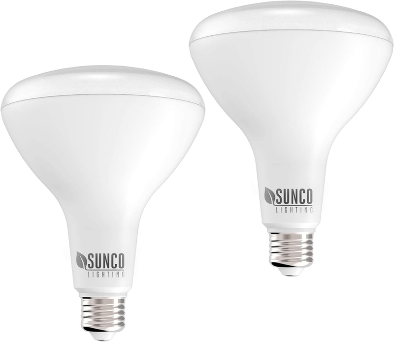 2 Pack BR40 LED Light Bulbs, Indoor Flood Light, Dimmable, 2700K Soft White, 100