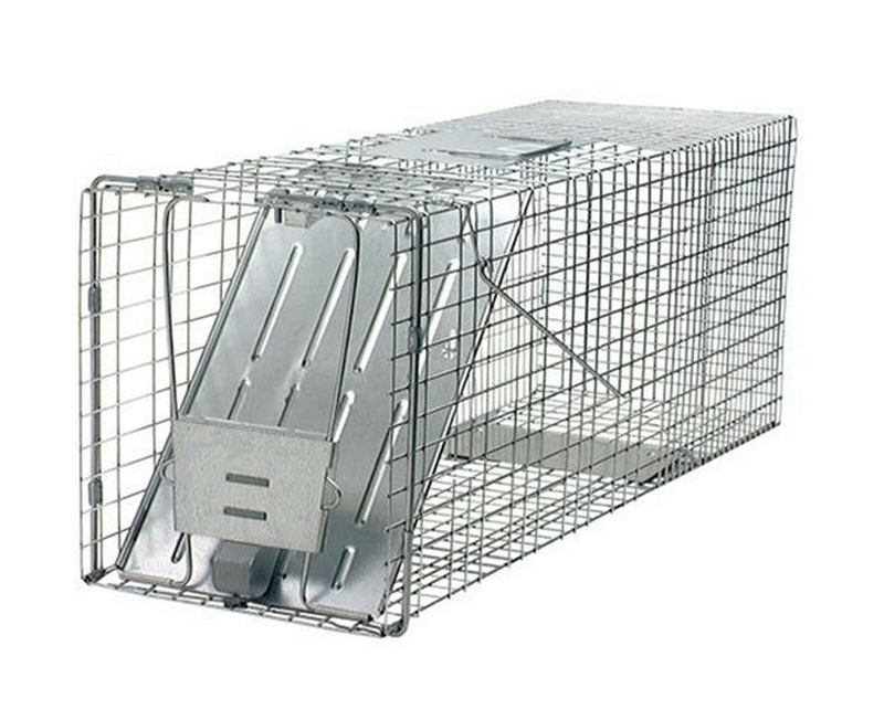 Havahart 1079 Large 1-Door Humane Animal Trap for Raccoons, Cats, Groundhogs,...