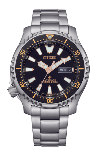 Pre-owned Citizen Silver Mens Analogue Watch Promaster Fugu Limited Edition Ny0160-66e