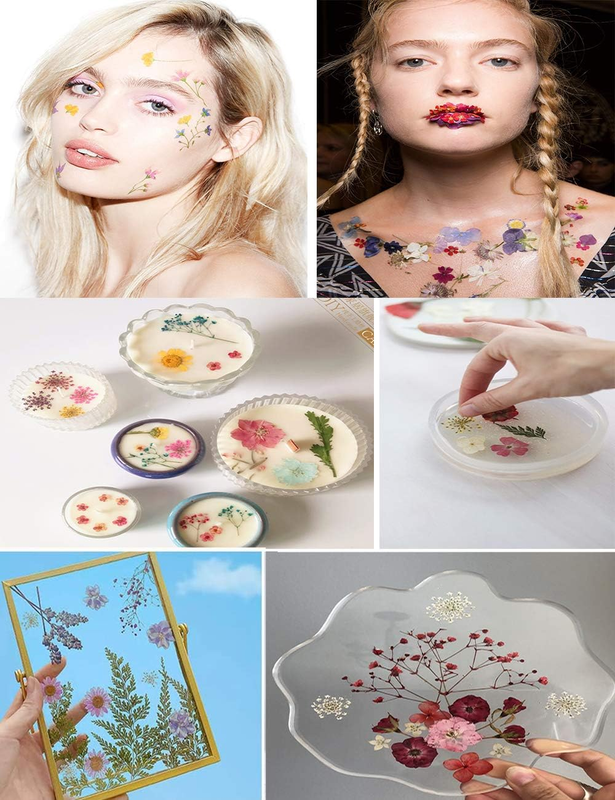 135PCS White Dried Pressed Flowers with Butterfly Stickers -  Real Nature Flower