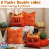 TOYPOPOR Fall Decorations, 2 Packs Double Sided Throw Pillow Covers, Orange Soft Faux Fur Pumpkin Pillow Cases Autumn Harvest Thanksgiving Indoor Outdoor Home Decor for Living Room Porch Couch 20x20