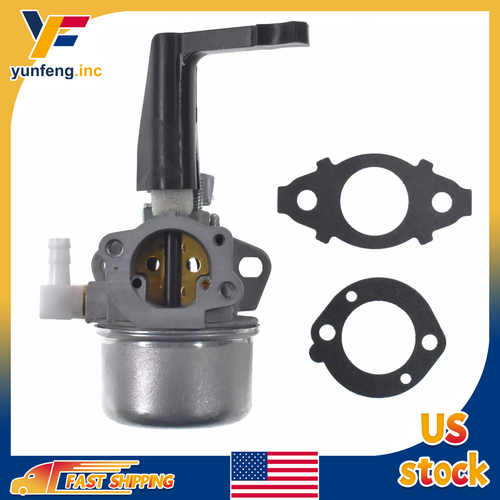 Carburetor for Briggs&Stratton 696065 697422 698860 275160 with Mounting Gasket