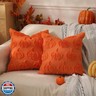 TOYPOPOR Fall Decorations, 2 Packs Double Sided Throw Pillow Covers, Orange Soft Faux Fur Pumpkin Pillow Cases Autumn Harvest Thanksgiving Indoor Outdoor Home Decor for Living Room Porch Couch 20x20