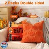 TOYPOPOR Fall Decorations, 2 Packs Double Sided Throw Pillow Covers, Orange Soft Faux Fur Pumpkin Pillow Cases Autumn Harvest Thanksgiving Indoor Outdoor Home Decor for Living Room Porch Couch 20x20