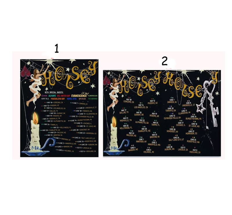 Custom Halsey Announces 2025 US Tour Poster