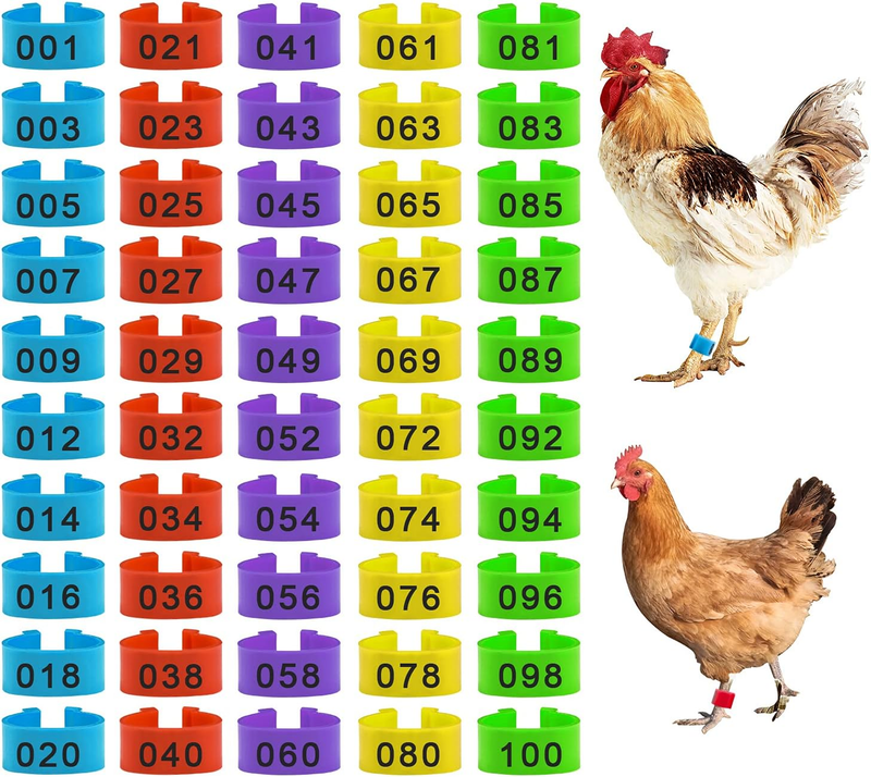 100 Pieces Chicken Bird Leg Rings, Multiple Colour Numbered Chicken Birds Identi
