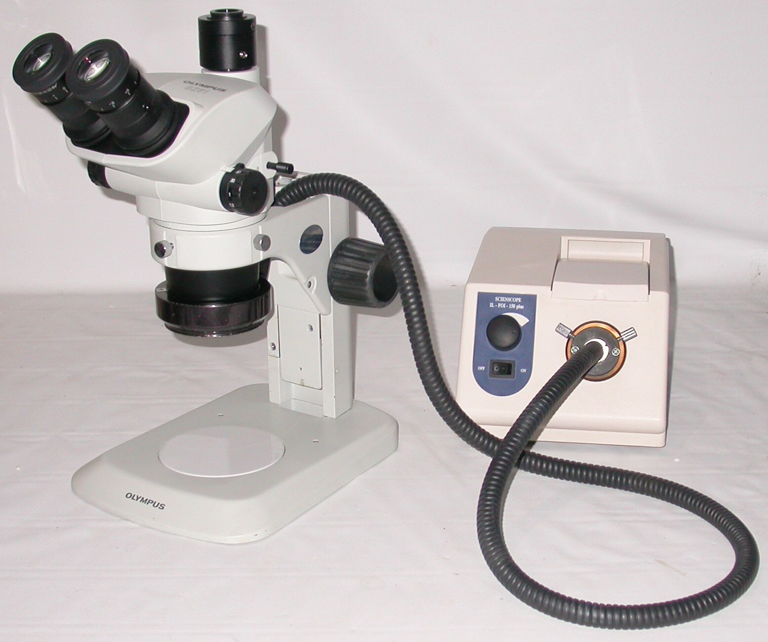 OLYMPUS - sasisuseso900、OLYMPUS _57.JPG?set_id=880000500F