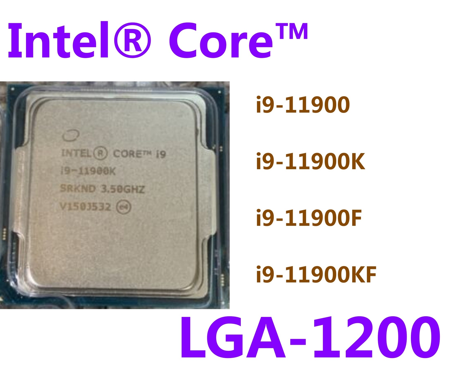 $_10.JPG?set_id=880000500F