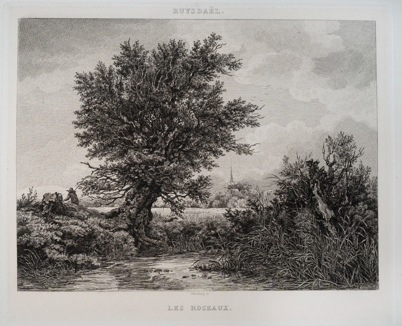 Gravure D'InterprÃ©Tation Les Roseaux De Jacob Van Ruysdael (1628-1682)