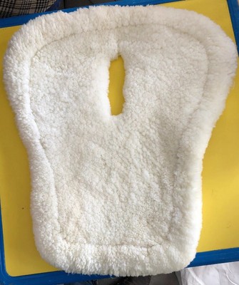 Saddle Pads Ecp Trainers4me