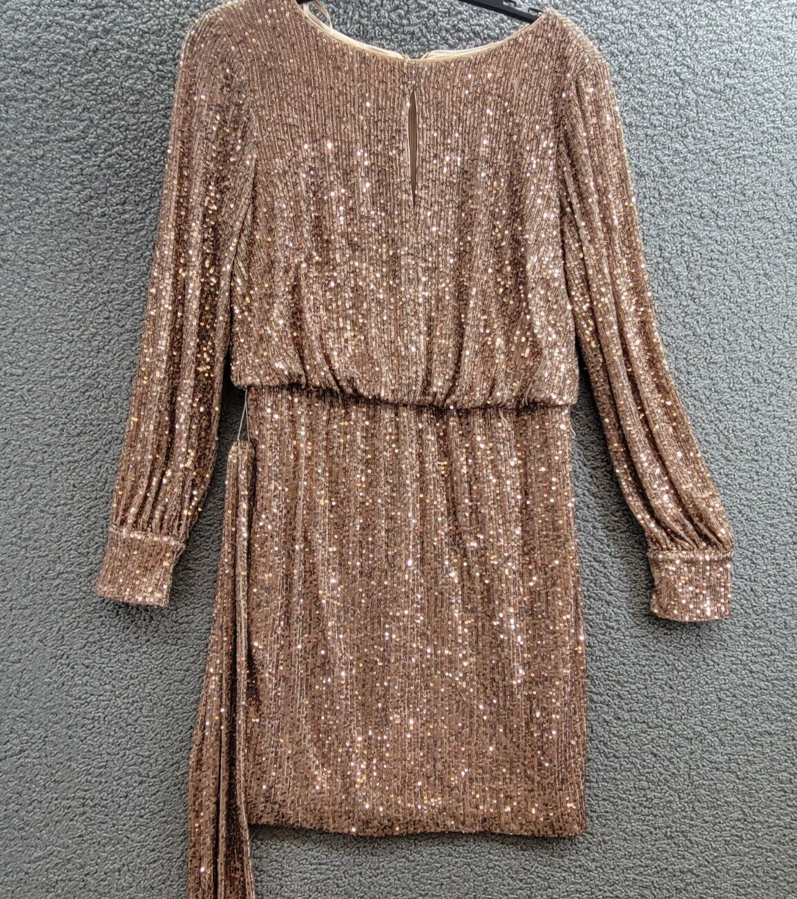 Eliza J Sequin Blouson-Sleeve Boat-Neck Dress Women's 10 Latte Back Zip Closure - Picture 2 of 18
