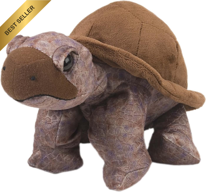 Tortoise Plush, Stuffed Animal, Plush Toy, Gifts for Kids, Cuddlekins 12 Inches
