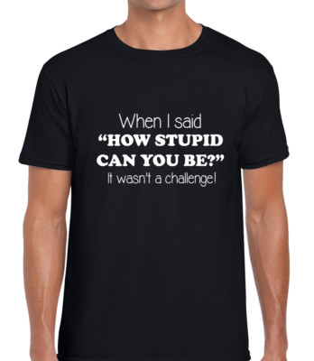 WHEN I SAID HOW STUPID FUNNY T SHIRT MENS TEE JOKE PRINTED SLOGAN FASHION DESIGN