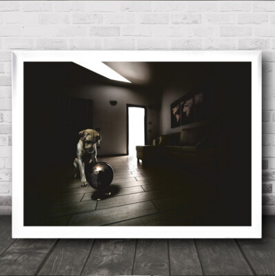 The World Of Book Labrador Dog Mood Room Globe Map Wall Art Print