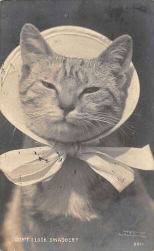 PC CATS, WHITE CAT WITH FLOWERS, Vintage EMBOSSED Postcard PC CATS, WHITE CAT WITH FLOWERS, Vintage EMBOSSED Postcard