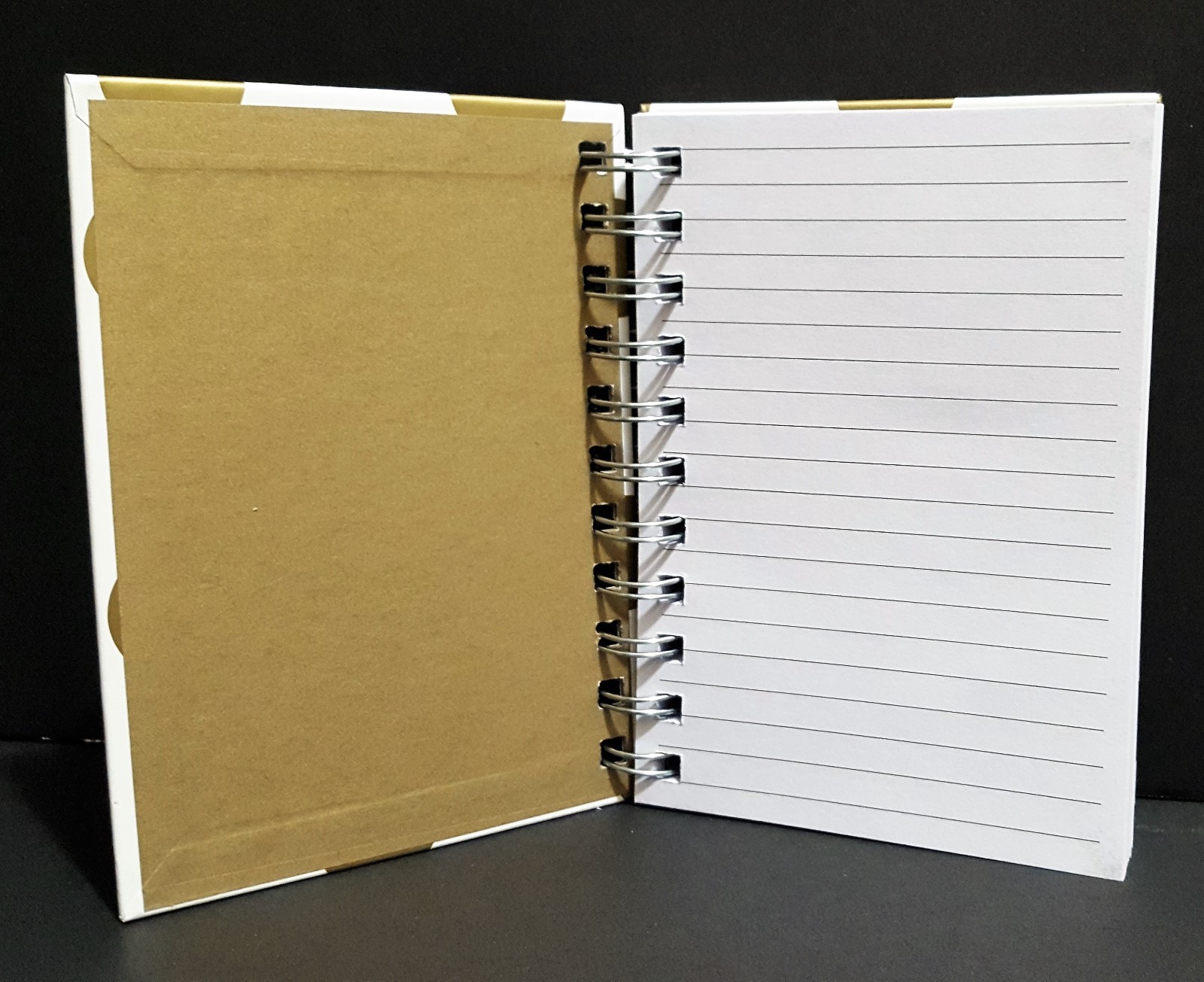Robert Frederick Spiral Bound  Notebook Journal Diary 4