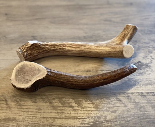 LARGE Elk/Deer Antler Premium Dog Chew (1pc) **OREGON ANTLER WORKS**