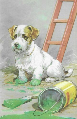 Sealyham Terrier Print - 1956 Vintage Color Dog Art Print - Matted