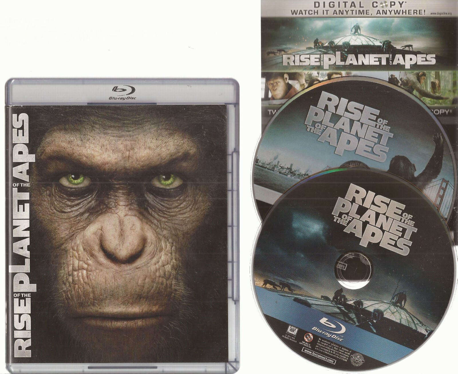 ミュージック Apease DVD Shimajiro DVD Japanese Hop Age 3-4 Education Benesse Nihongo