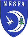 New England Science Fiction Association, Inc.