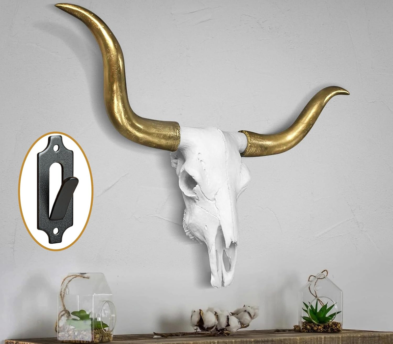10 European Mount Skull Hanger Deer Skull Mount Euro Mount Skull Hanger Deer ..