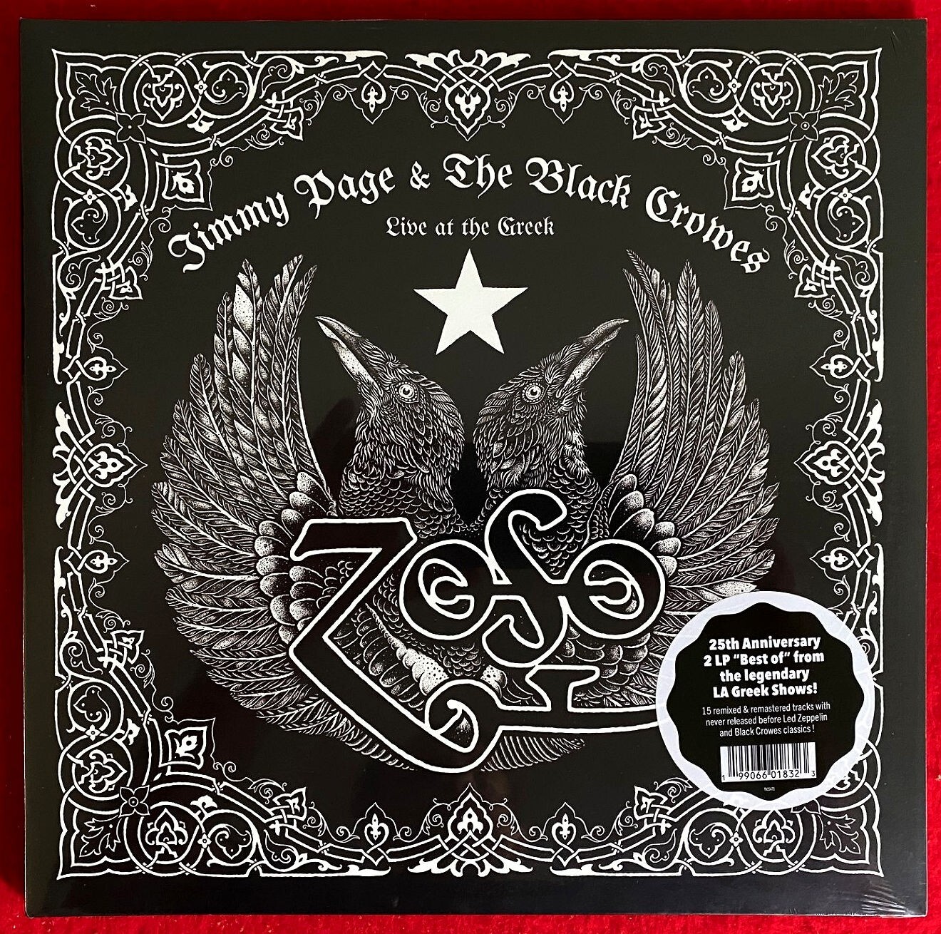 洋楽 Jimmy Page&The Black Crowes/Excess All.. Excess All Areas: Jimmy Page and The Black Crowes' Live Team