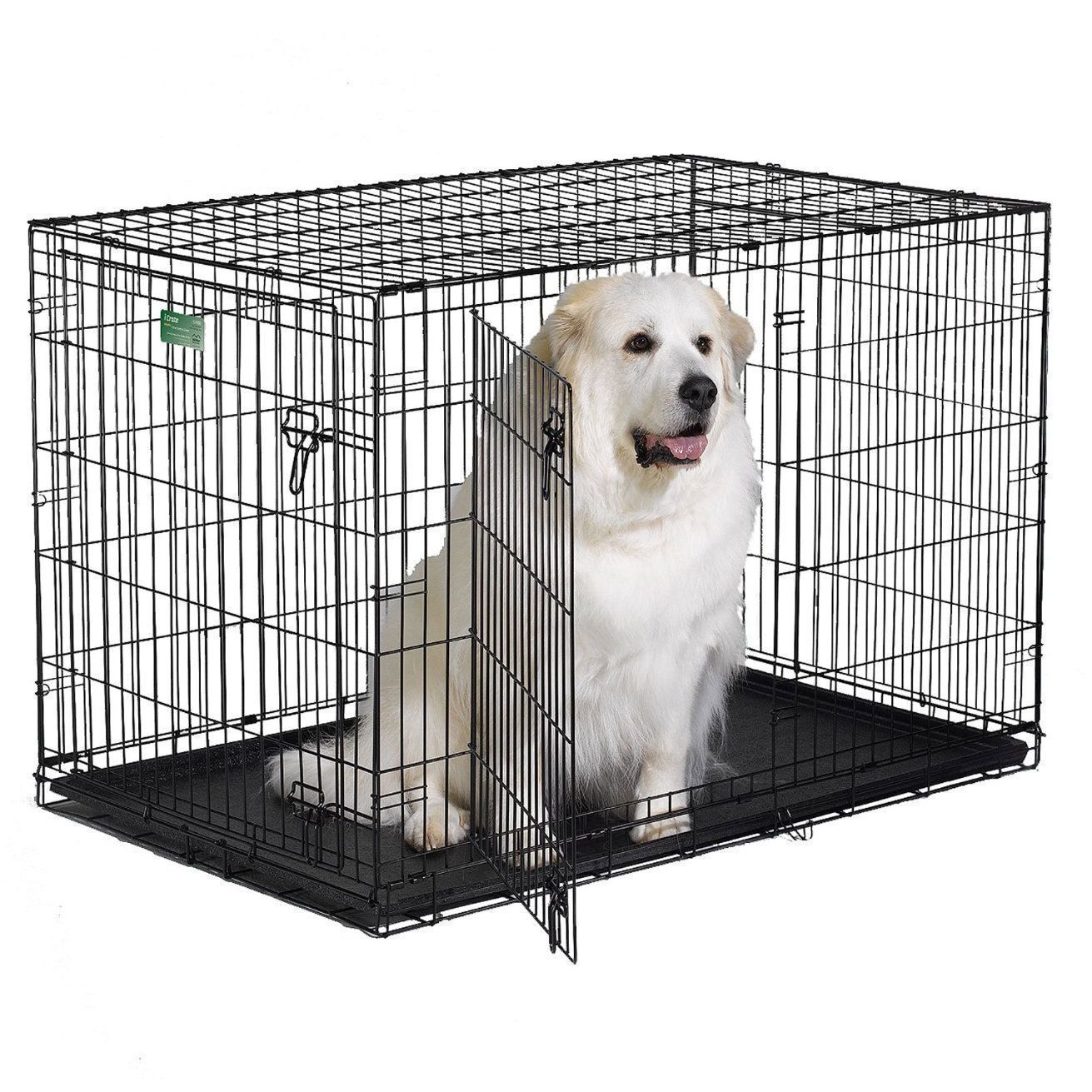 midwest large dog crate