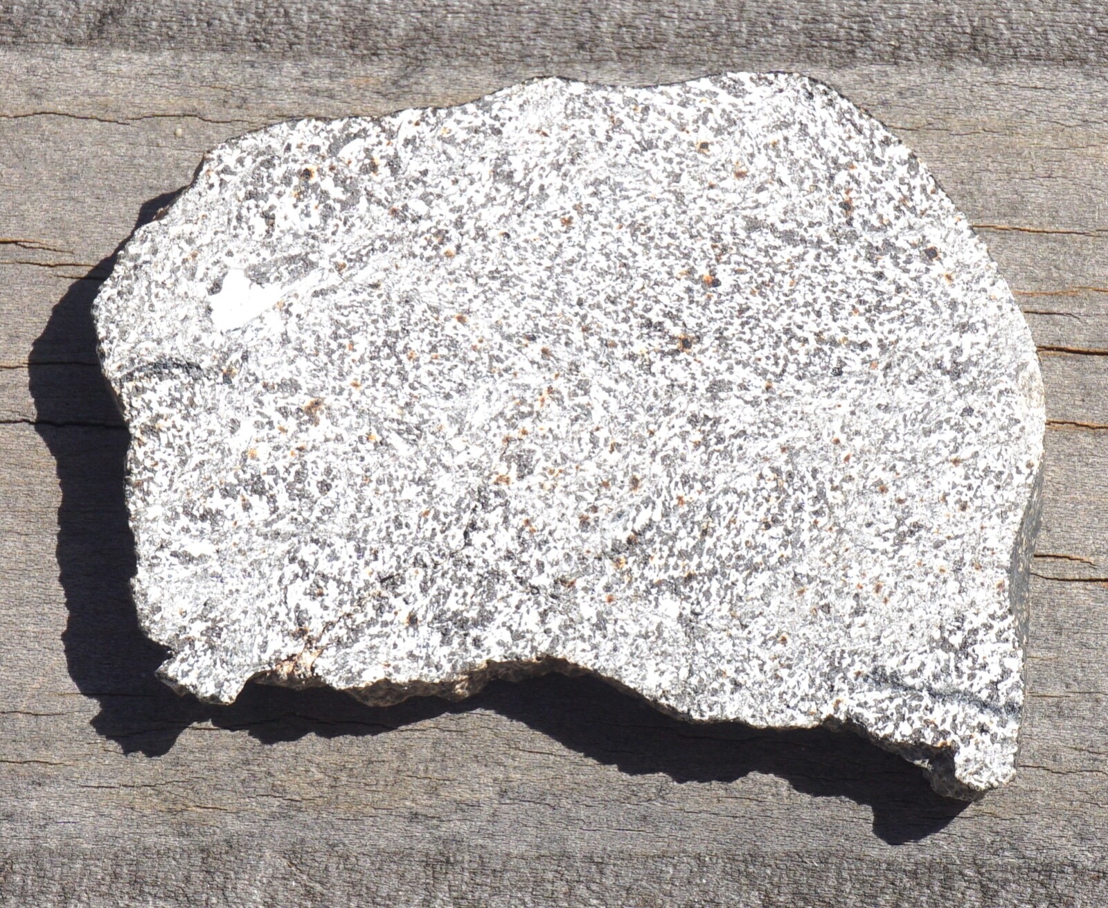 RARE 15g NWA 2362 UNBRECCIATED CUMULATE EUCRITE METEORITE