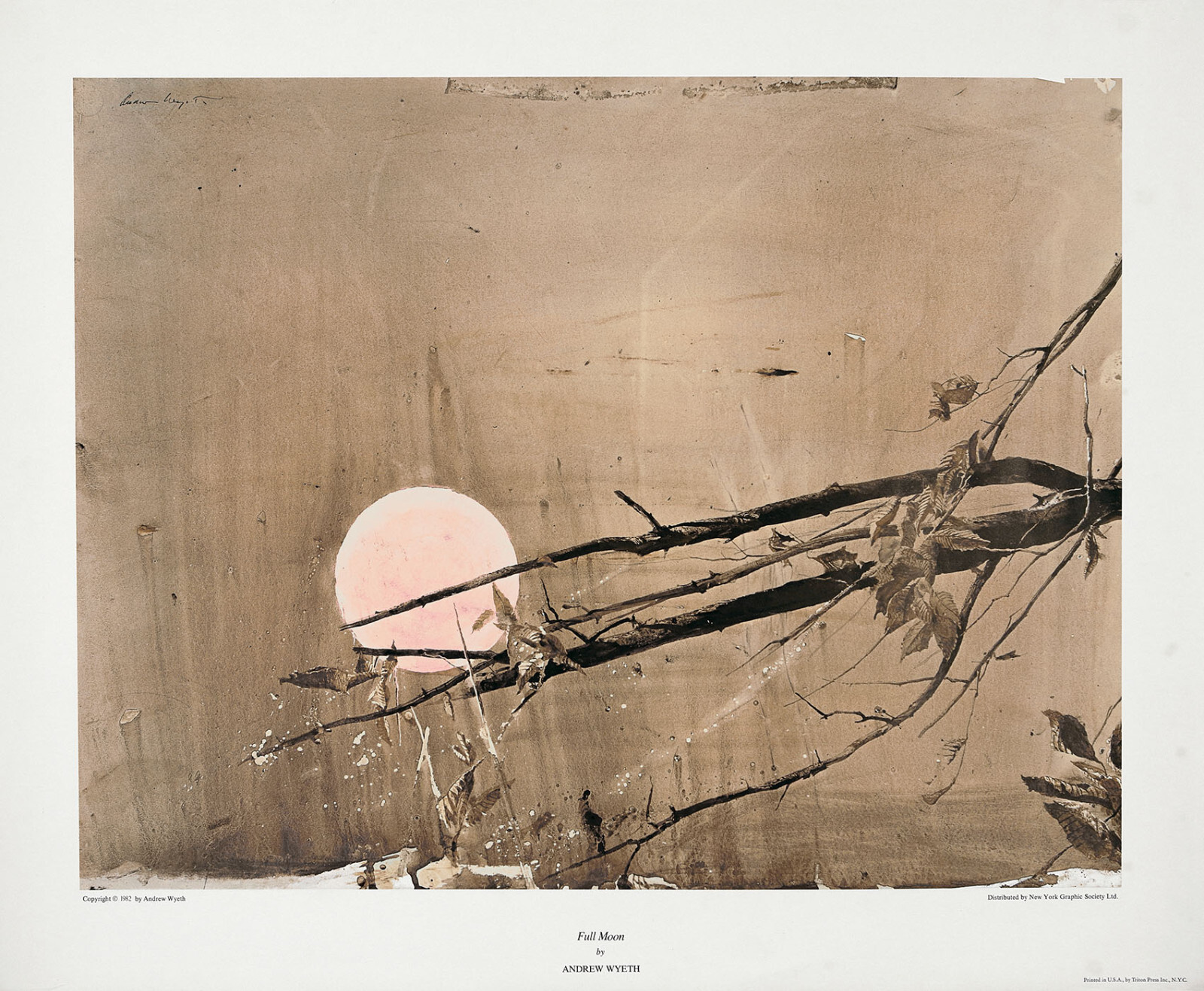 アート・デザイン・音楽 Andrew Wyeth: Helga by Wilmerding, John アート・デザイン・音楽 Andrew Wyeth: Helga by Wilmerding