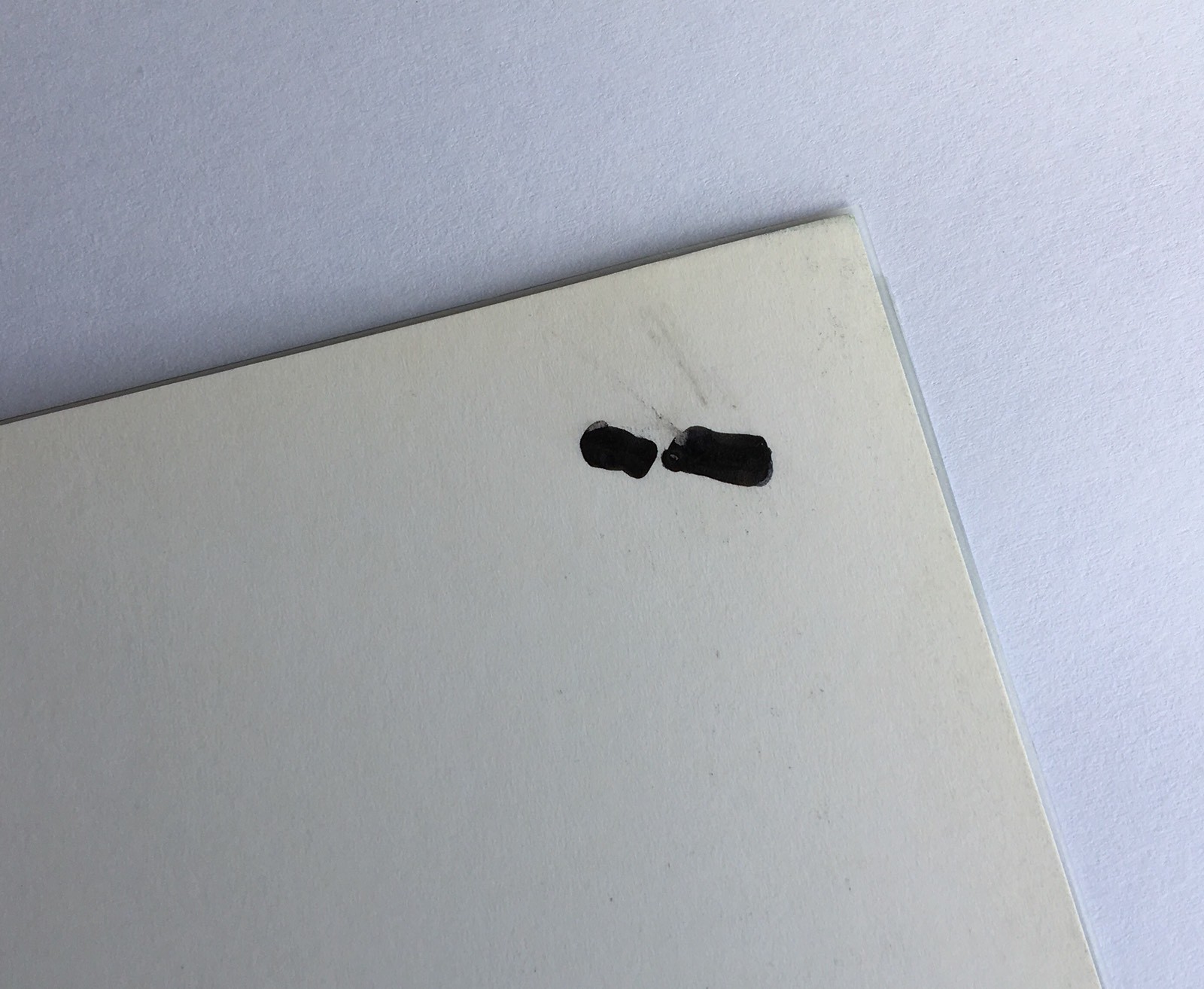 The Art & Elegance of Beadweaving - Carol Wilcox Wells - Professionally Spiraled