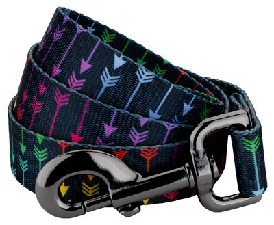 Country Brook Petz  Colorful Arrows Gunmetal Dog Leash