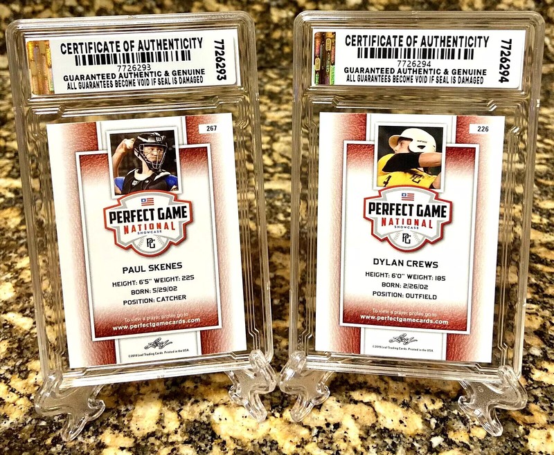 You Choisissez 2019 Feuille Parfait Jeu Gem-Mt 10 DÃ©Butant #101-200 Skenes / Vis