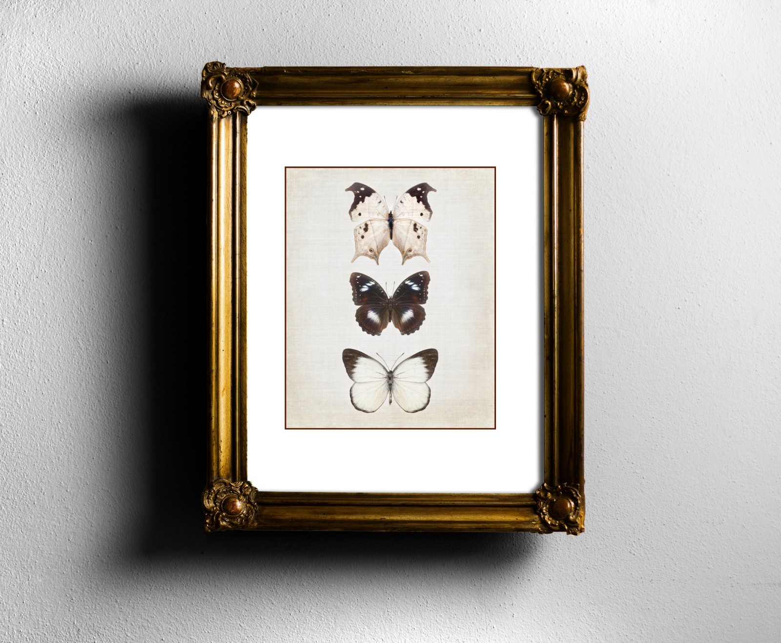 Print of Butterflies~Brown Butterfly Art Print~Bug Nature Print~Nursery Decor~Ze