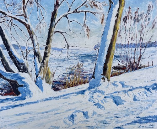 Impressionist Winter Landscape with Trees Lake Shore Snow