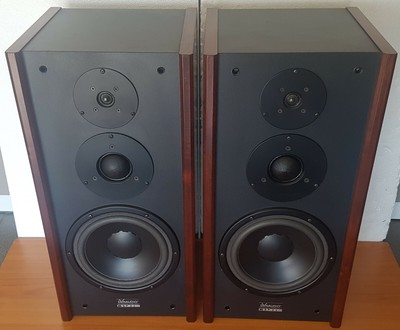dynaudio msp 100
