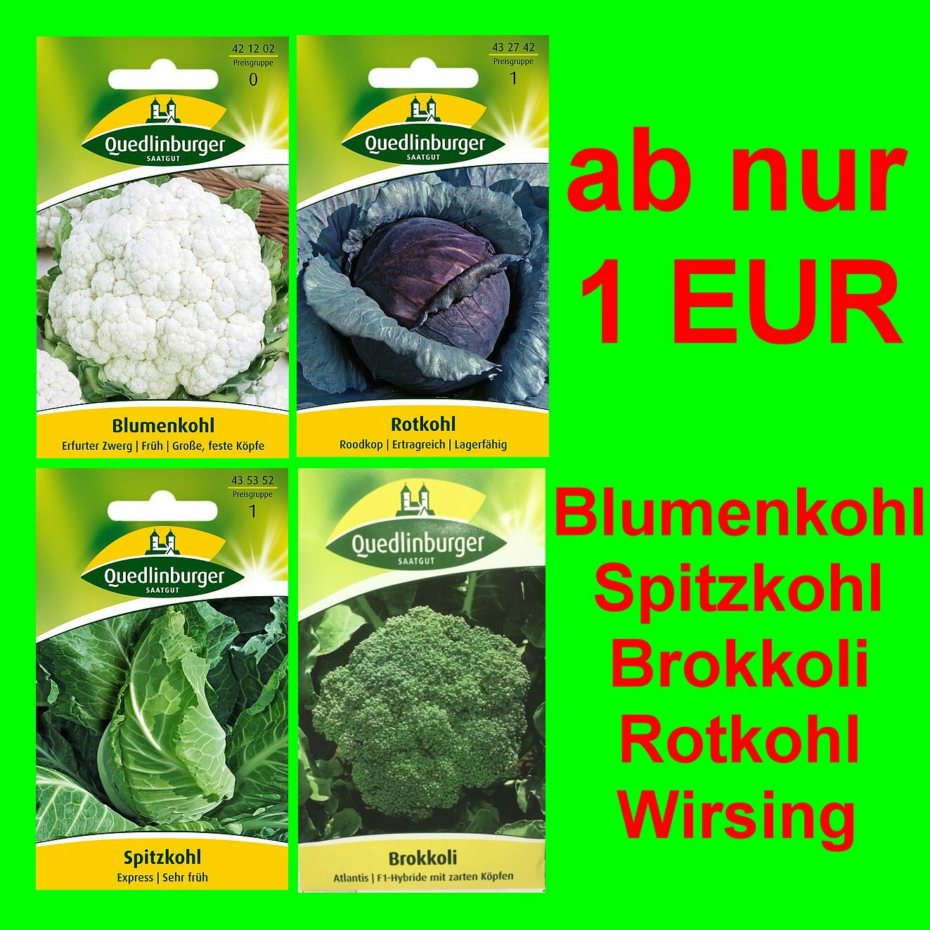 Blumenkohl Blaukohl Spitzkohl Wirsing Brokkoli Samen Saatgut Sämerei Gemüsesamen
